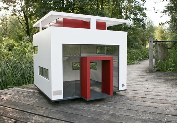 house for dogs