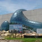 New Salvador Dali Museum 5