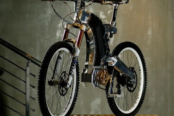 M55 Electric Bike 1