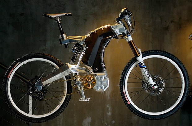 M55 Electric Bike 2