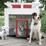 Cubix Luxury Dog Home