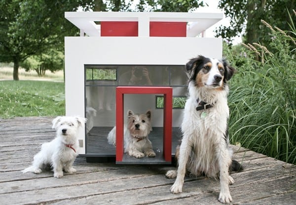 Cubix Luxury Dog Home 1