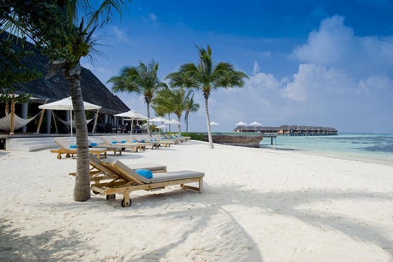 Diva resort in Maldives 4