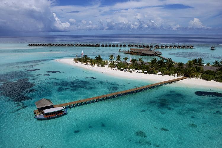Diva resort in Maldives 7