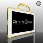 Gold Plated Ipad 2 Bumper Cases by Crystal Rocked 1