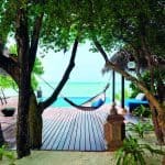 Taj Exotica Resort in Maldives 11