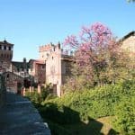 Medieval Castle in Turin 3