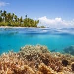 Jean-Michel Cousteau Fiji Islands Resort 4