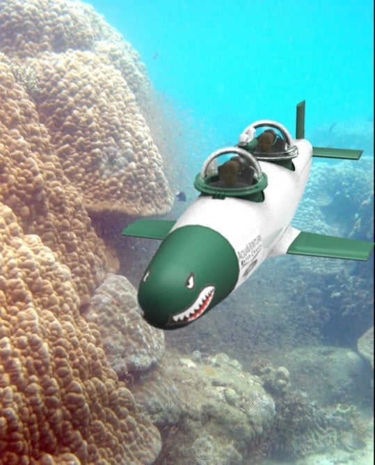 SeaBird Submarine 7