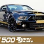 Shelby 50th Anniversary Edition Mustangs 1
