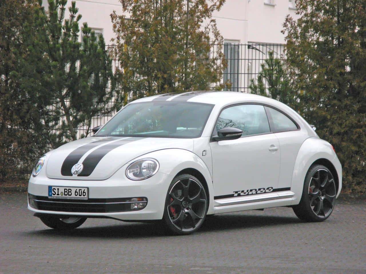 Volkswagen Beetle B&B 1