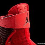 Air Jordan 2012 9