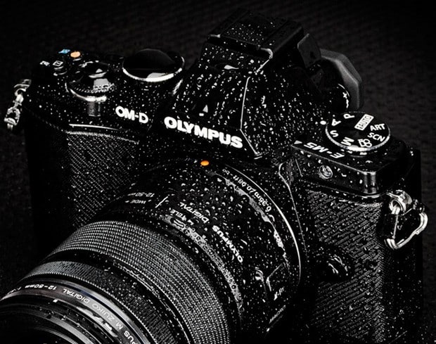 Olympus OM-D E-M5 Micro Four Thirds Digital Camera 6