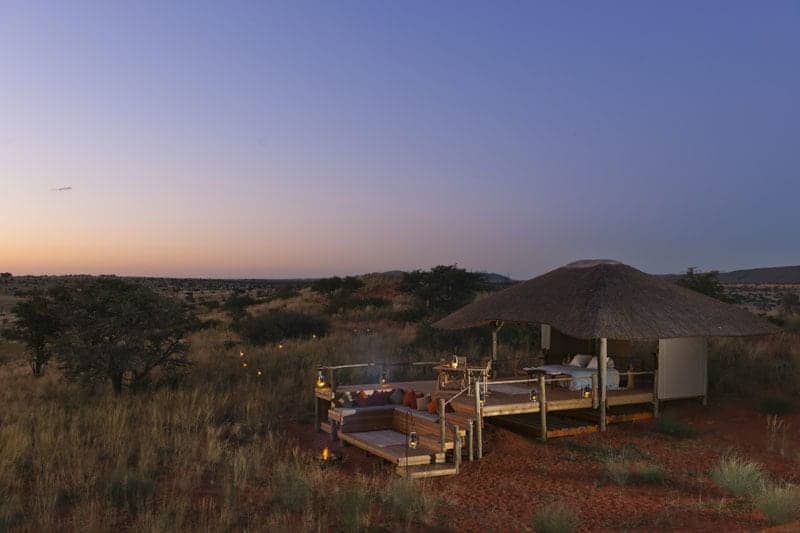 Tswalu Game Reserve. Southern Kalahari. Northern Cape. South Africa.