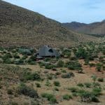 Tswalu Kalahari Reserve in South Africa 5