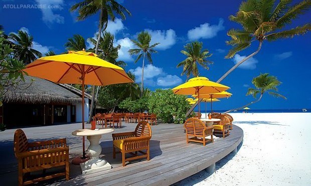 Angsana Velavaru Resort in the Maldives 4