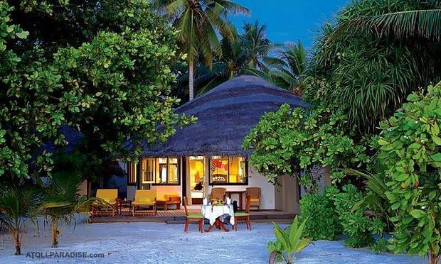 Angsana Velavaru Resort in the Maldives 8