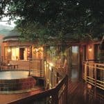 Thanda Private Game Reserve in South Africa 1