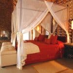 Thanda Private Game Reserve in South Africa 7