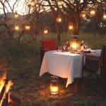 Thanda Private Game Reserve in South Africa 9