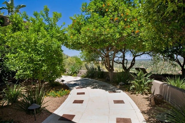 Foothill House in Paradise Valley 4