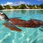 Le Meridien Bora Bora Resort 6