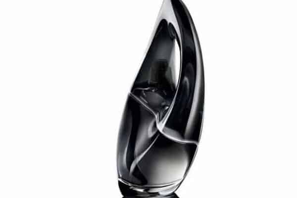 Donna Karan Perfume Bottle by Zaha Hadid 1