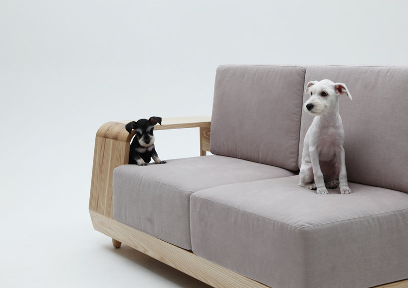 Dog House Sofa by Seungji Mun 5