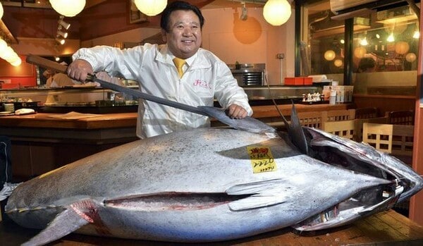 Bluefin Tuna world record 1
