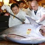 Bluefin Tuna world record 2