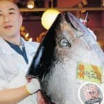 Bluefin Tuna world record 3