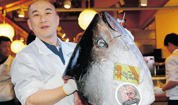 Bluefin Tuna world record 3