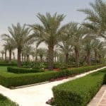 Desert Palm Dubai 01