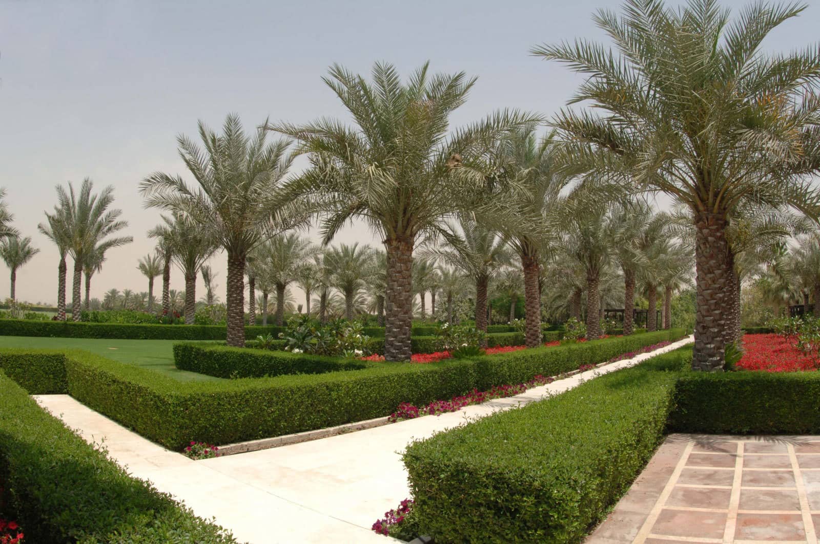 Desert Palm Dubai 01