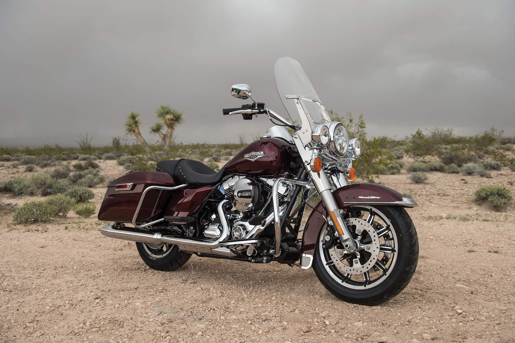 Harley-Davidson Project Rushmore 3