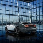 Bugatti-Veyron-Vivere-Mansory 2