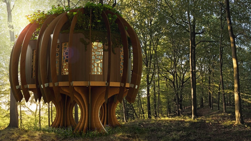 An Environmentally Friendly, Noise-Free Haven: The Quiet Treehouse