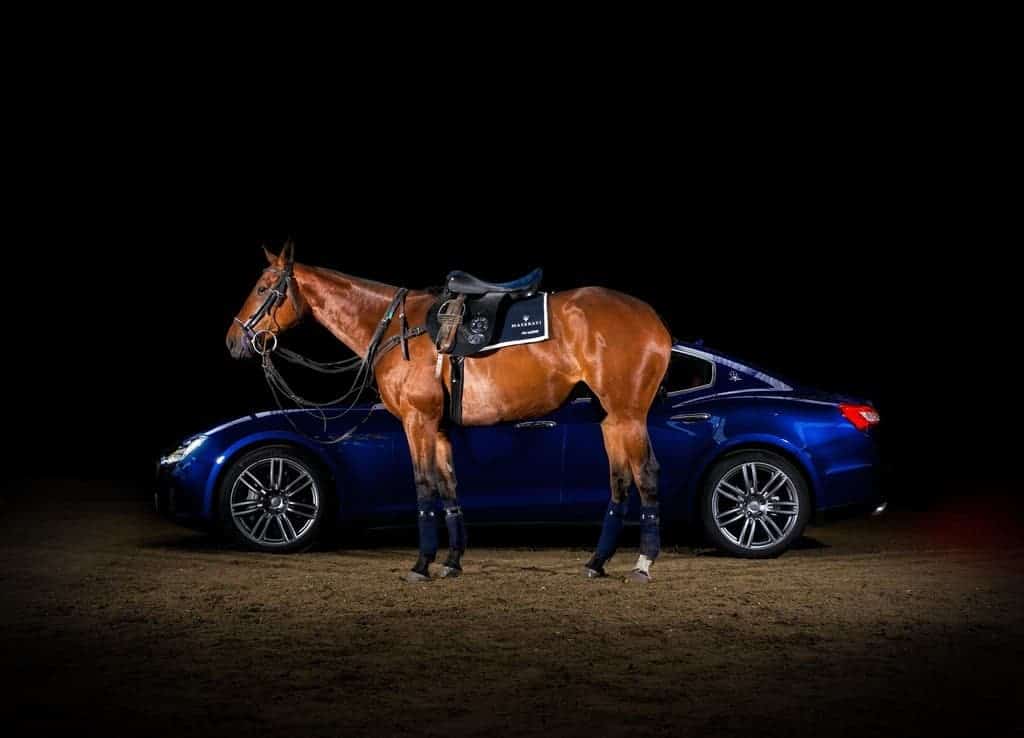 Maserati-Polo-Saddle 1