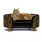 TimeinBox – Luxury Accessories For Pets
