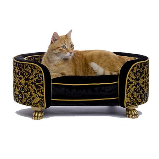 TimeinBox – Luxury Accessories For Pets