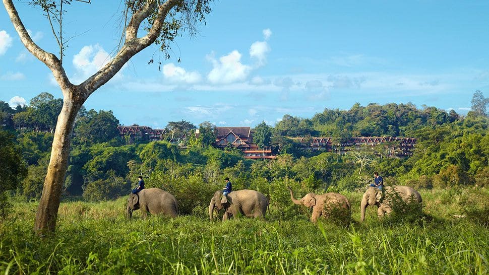 Anantara-Golden-Triangle-Elephant-Camp-and-Resort 2