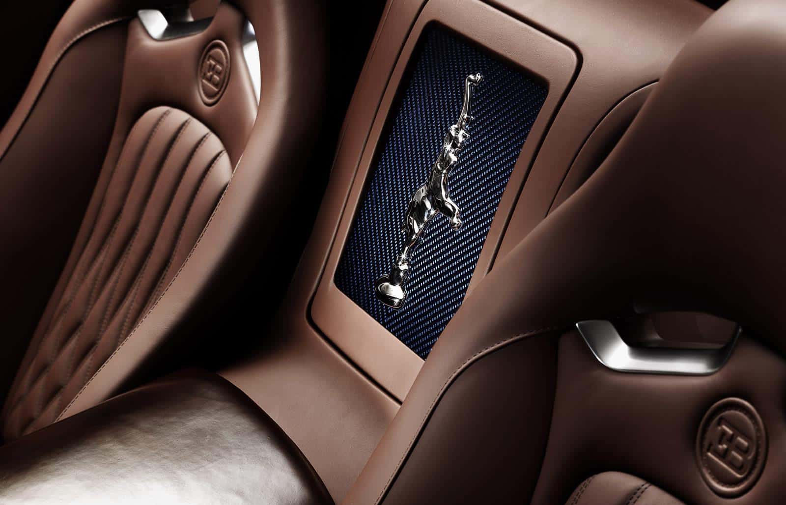 Bugatti-Veyron-Ettore-Bugatti-Special-Edition 12