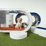 Samsung-Dream-Doghouse 1