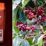 The ten most expensive coffee brands in the world 00007