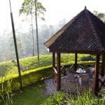 Ceylon-Tea-Trails-5