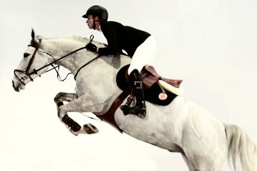Hermès Allegro Saddle