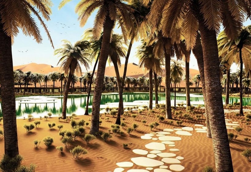 Oasis-Eco-Resort-UAE-4