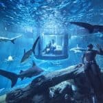 Aquarium-de-Paris-SharkRoom-1