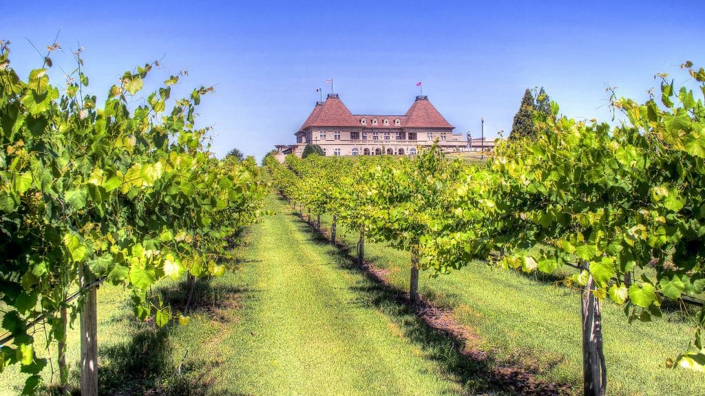 Chateau Elan Winery & Resort 8