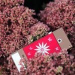 Mobiado Professional 3 VG Fleur Concept Cell Phone 3